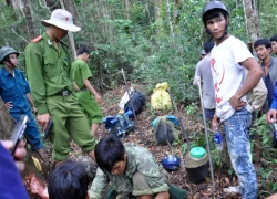 Hàng chục cảnh sát đột kích bãi vàng trái phép