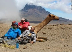 Hành trình chinh phục núi Kilimanjaro bằng lạc đà