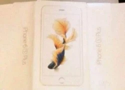 Hộp iPhone 6S lộ ảnh, sẵn sàng phát hành