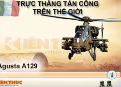 Infographic: Trực thăng tấn công A129 của Italy