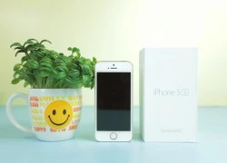 iPhone 5S refurbished về Việt Nam với giá 10,6 triệu đồng