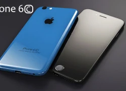 iPhone 6C có thể ra mắt giữa năm sau