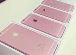 iPhone 6S không có phiên bản màu hồng?