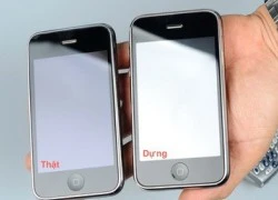 iPhone dựng xuất hiện tại Việt Nam khi nào?