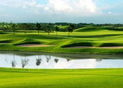 "Kêu gọi xây dựng tổ hợp 10 sân golf để phát triển kinh tế" (?!)