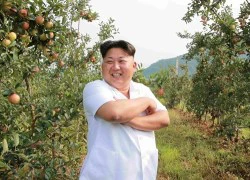 Kim Jong-un cho nã pháo vì Tổng thống Hàn đi Bắc Kinh?