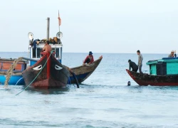 Lại đổ xô tìm cổ vật ở vùng biển Bình Châu