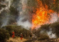 Lính cứu hỏa California vất vả khống chế cháy rừng