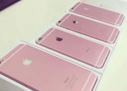 Lộ ảnh iPhone 6S màu hồng?