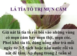 Loại bỏ mụn tức khắc nhờ mặt nạ từ lá cây