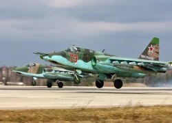 Máy bay cường kích Su-25 Nga và A-10 Mỹ: Ai hơn ai?