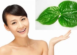 Mẹo giúp tẩy lông tay chân bằng nước lá cực hay