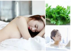 Ngải cứu: thần dược phục hồi da sau nắng