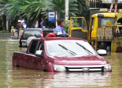 Nhiều chủ xe ô tô tại Quảng Ninh không được bồi thường