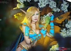 Những tiên nhân Blood Elf gợi cảm trong World of Warcraft