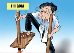 Những vấn đề đặt ra