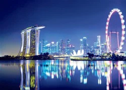 Nửa thế kỷ đảo quốc Singapore, nghĩ về đảo ngọc Phú Quốc