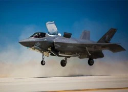 Phi đội F-35 đầu tiên của Mỹ đi vào hoạt động