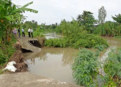 Sạt lở uy hiếp nhiều nơi ở Châu Thành