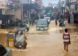 Số người chết do bão Goni ở Philippines tăng vọt