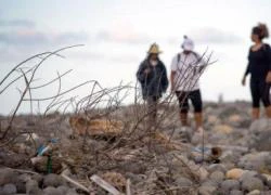 Tìm thấy mảnh vỡ thứ hai nghi của MH370 trên đảo Reunion