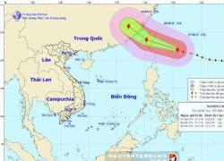 Tin bão mới nhất ngày 7/8: Giật cấp 17, Đông Bắc Biển Đông biển động mạnh