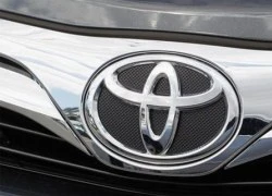 Toyota dừng 2 nhà máy sau vụ nổ Thiên Tân