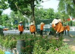 Trồng hàng nghìn chậu hoa bên hồ Hoàn Kiếm mừng Ngày Quốc khánh