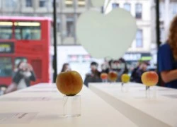 Vì sao Việt Nam chưa có Apple Store?