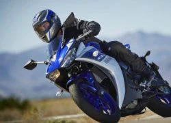 Yamaha YZF-R3 cho đặt hàng trước giá 103 triệu đồng