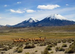 10 điểm du lịch hấp dẫn nhất Chile