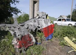 5 nước lại tìm cách đưa Nga ra toà vụ MH17