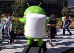 Android 6.0 Marshmallow có thể lên kệ vào 5/10