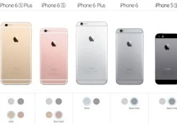 Apple giảm giá iPhone 5s, 6 và 6 Plus, dừng bán bản màu vàng