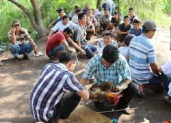 Bắt quả tang sới gà với 39 đối tượng đang sát phạt, ăn tiền