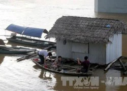 Bè cá vướng dây điện, 2 chị em ruột thương vong