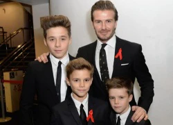 Beckham thất vọng vì con trai không dám nối nghiệp