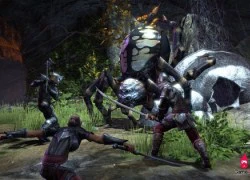 Bom tấn The Elder Scrolls Online bất ngờ hé lộ thông tin ra mắt