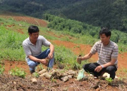 Các đối tượng "lạ" tiếp tục phá hoại tài sản, hành hung nông dân