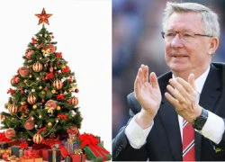 Cây thông Noel gắn mác Sir Alex hút khách