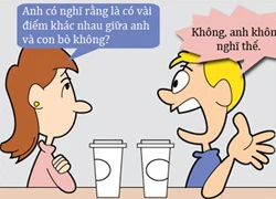 Có gì khác giữa em, anh và con bò