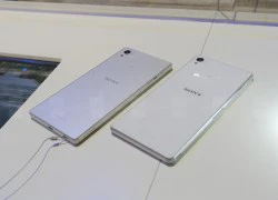 Có nên nâng cấp từ Xperia Z3 lên Z5?