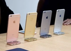 Dân buôn tại Việt Nam rục rịch đón iPhone 6S