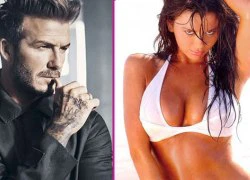 Dính sét ái tình, gạ tình thất bại, Becks bị vợ phát hiện