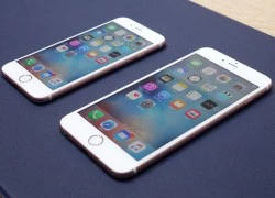 Doanh số iPhone 6S, 6S Plus sẽ đạt 85 triệu máy trong 2015