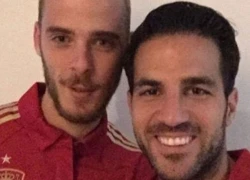 Fabregas lên tiếng về vụ từ chối bắt tay De Gea