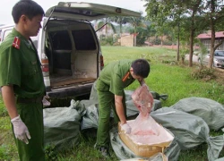 Gần một tấn nầm lợn thối trong ngôi nhà hoang