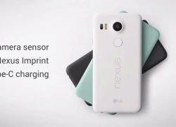 Google ra mắt Nexus 5X và 6P dùng cảm biến vân tay và USB-C