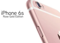 iFan nên làm gì trong khi chờ iPhone 6S lên kệ?