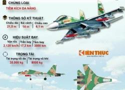 Infographic: Sức mạnh Không quân Nhân dân Việt Nam (1)